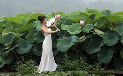 影音先锋全部av女资源